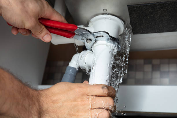 Best Basement water damage restoration  in Cherry Brah, NC