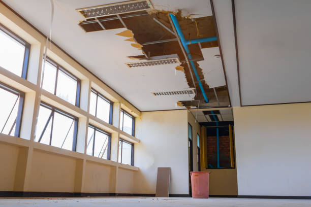 Best Water damage restoration company  in Cherry Brah, NC