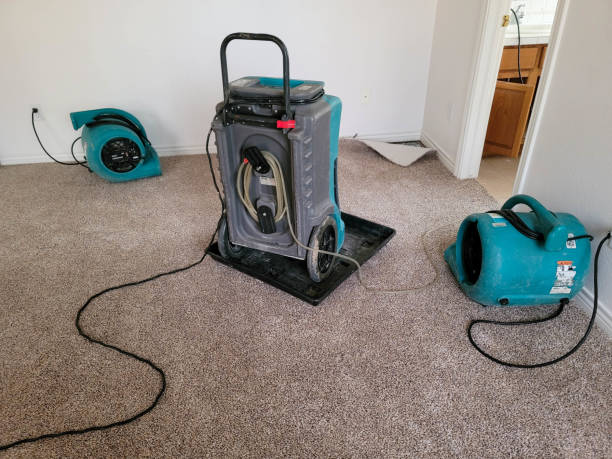 Best Water damage cleanup near me  in Cherry Brah, NC