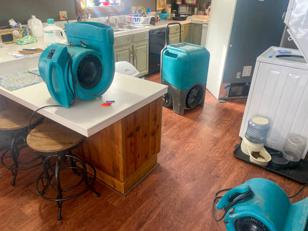 Best Water damage restoration near me  in Cherry Brah, NC