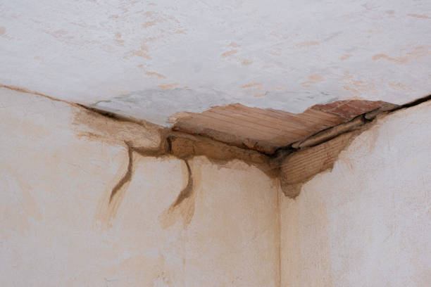 Best 24/7 water damage repair  in Cherry Brah, NC