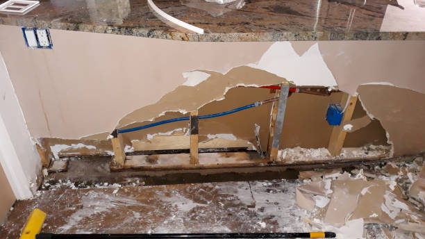 Best Carpet water damage restoration  in Cherry Brah, NC