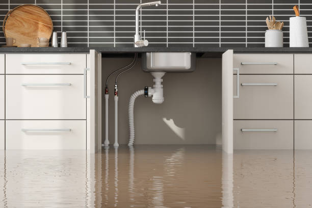 Best Water damage restoration experts  in Cherry Brah, NC