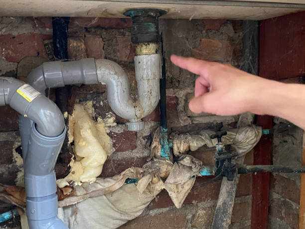 Water damage restoration mold remediation in Cherry Branch, NC