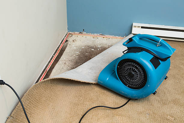 Best Fire Damage Restoration  in Cherry Brah, NC