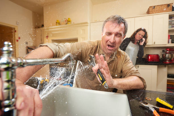 Best Flooded house restoration  in Cherry Brah, NC